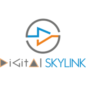 Digital SKYLINK logo