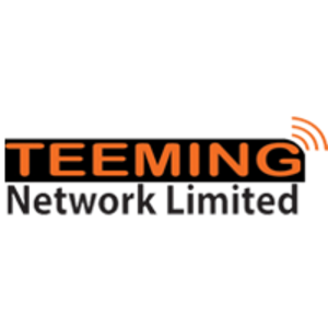 Teeming Network Limited logo