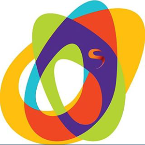 Synergy Elements logo