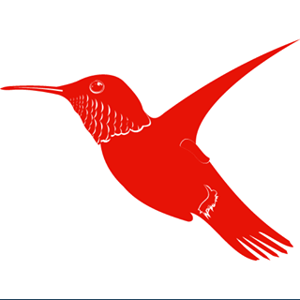 Blue Marz logo