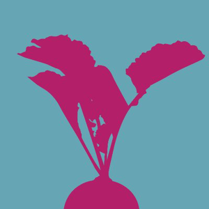 Digital Radish logo