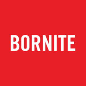 Bornite logo