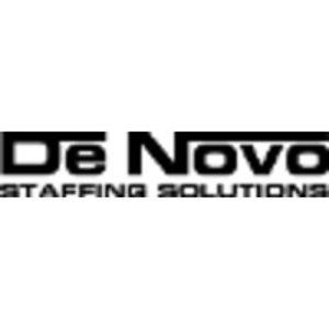 De Novo Staffing Solutions logo