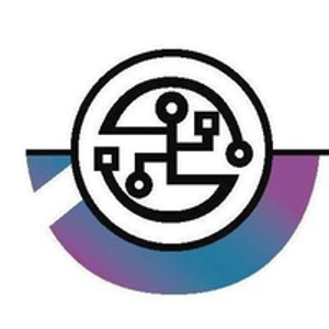 Digital nGenuity Consulting Ltd. logo