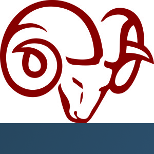 Collins Financial Services logo
