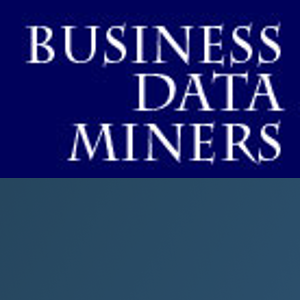 Business Data Miners logo