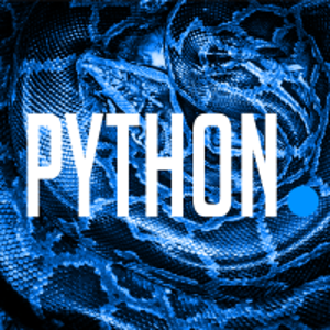 Python Digital Agency logo
