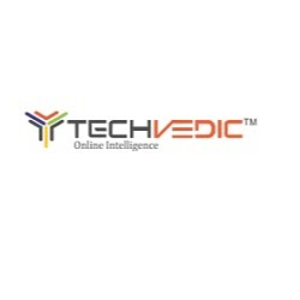 Techvedic logo