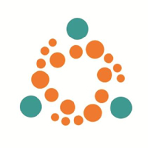 NineSol logo