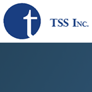 Temporary Staffing Solutions logo