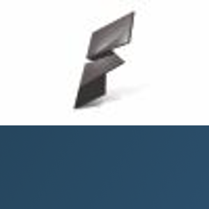 Fortune Soft logo