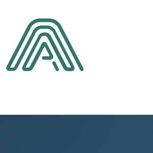 AnyforSoft logo