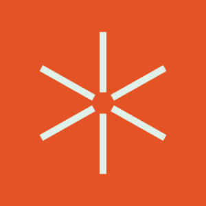 NetChange Consulting logo