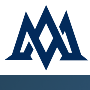 App Mechanic logo