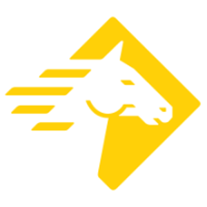 Paladin Technologies logo