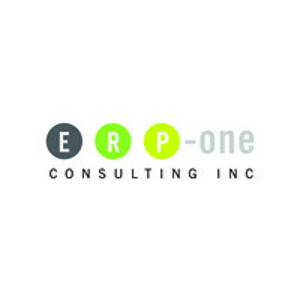 ERP-One Consulting Inc. logo
