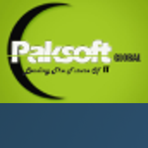 PAKSOFT GLOBAL (PVT) LIMITED logo