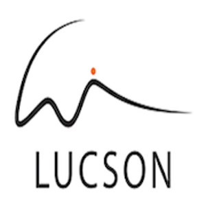 Lucson Infotech Pvt. Ltd. logo