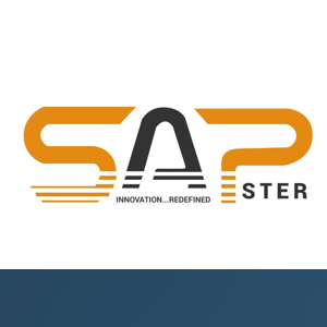 SAPster IT Consulting logo
