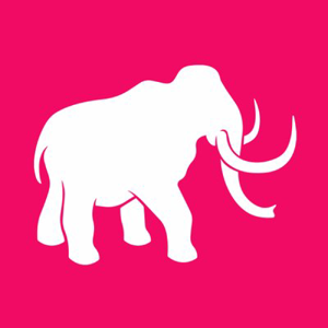 Little Giant logo