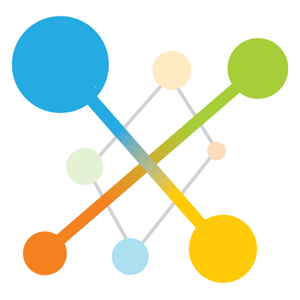 Xelsion logo