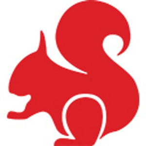 Red Squirrel Digital logo