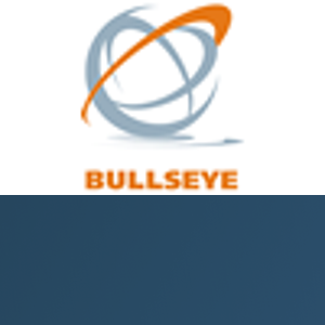 Bullseye S.R.L. logo