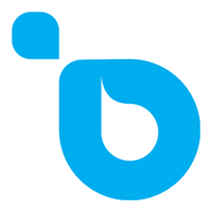 Become Interactive logo