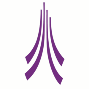 The Talent Consultants logo