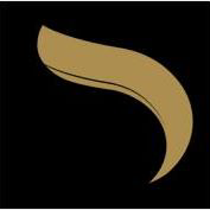 Origenlab logo