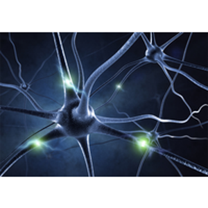 Deep Learning Partnership logo