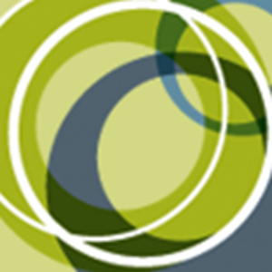 Boldr Strategic Consulting logo