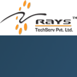 Rays TechServ Private Limited logo