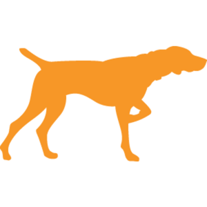 Randy Thaemert Design LLC logo