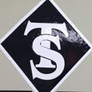 TREO STAFFING LLC logo
