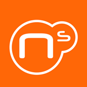 Netberry Solutions logo
