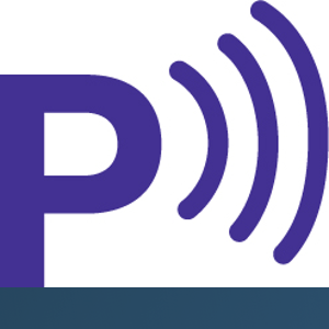 Palm logo
