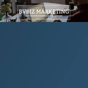 BVBiz Marketing logo