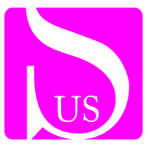 US Law Support logo