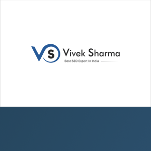 Best SEO Expert in India logo