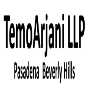 TemoArjani logo