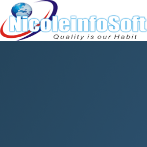 Nicole Infosoft logo