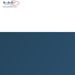 SAT Business Consulting logo