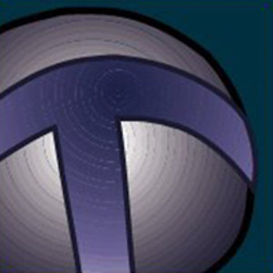 TechnoMetrica logo