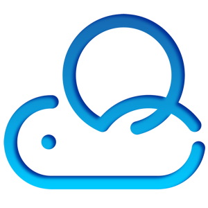QloudSoft logo