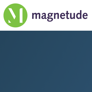 Magnetude Consulting logo
