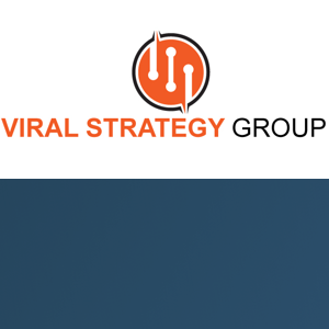 Viral Strategy Group, Inc. logo