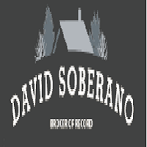 David Soberano logo