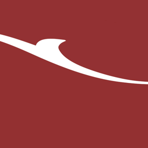 ZEN Associates logo