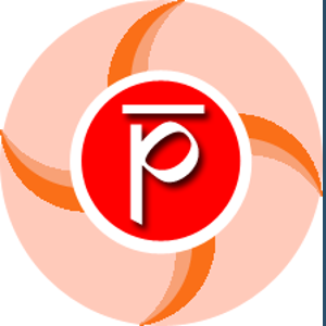 PALSOFT India logo